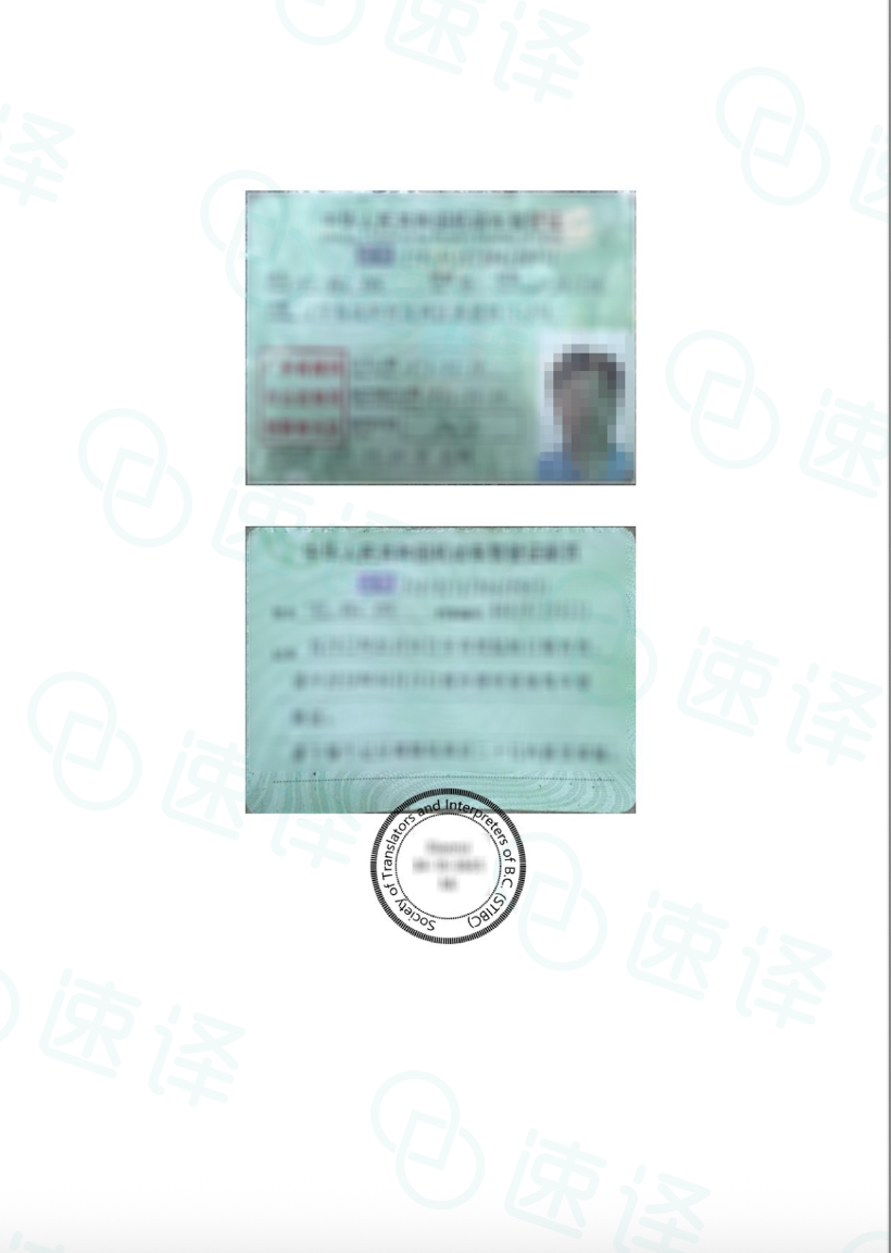 加拿大BC省自驾 中国驾照STIBC认证译员翻译 - 专为加拿大BC省（温哥华等地区）打造 🚗🌟