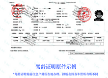 將圖片載入圖庫檢視器 速譯加拿大安省ATIO認證駕照+駕駛認證翻譯+ 郵寄

