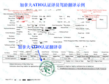 將圖片載入圖庫檢視器 速譯加拿大安省ATIO認證駕照+駕駛認證翻譯+ 郵寄
